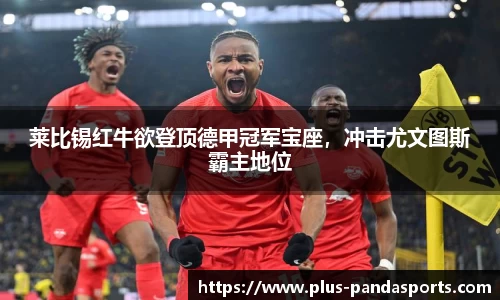 熊猫体育平台