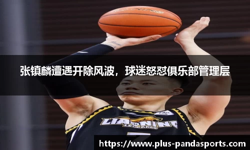 熊猫体育官方网站