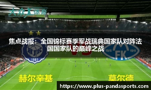 焦点战报：全国锦标赛季军战瑞典国家队对阵法国国家队的巅峰之战